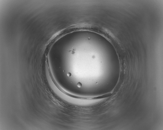 X0000061121213200512022143