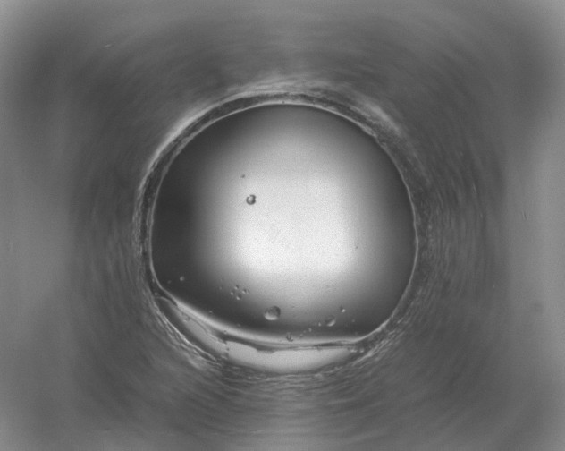 X0000061121216200512022143