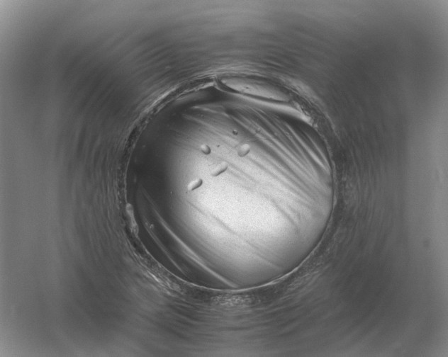 X0000061121217200512022143