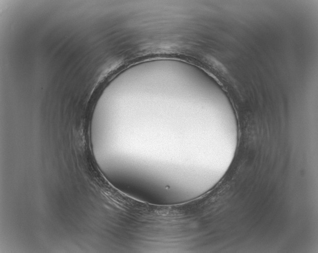 X0000061121218200512022143