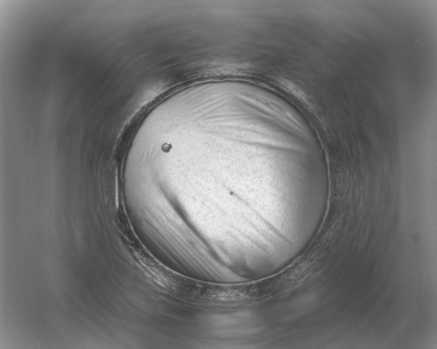 X0000061121219200512022143