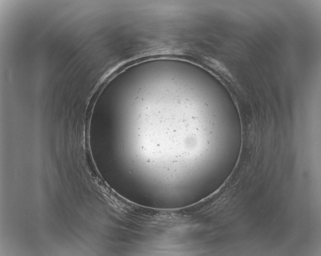 X0000061121220200512022143