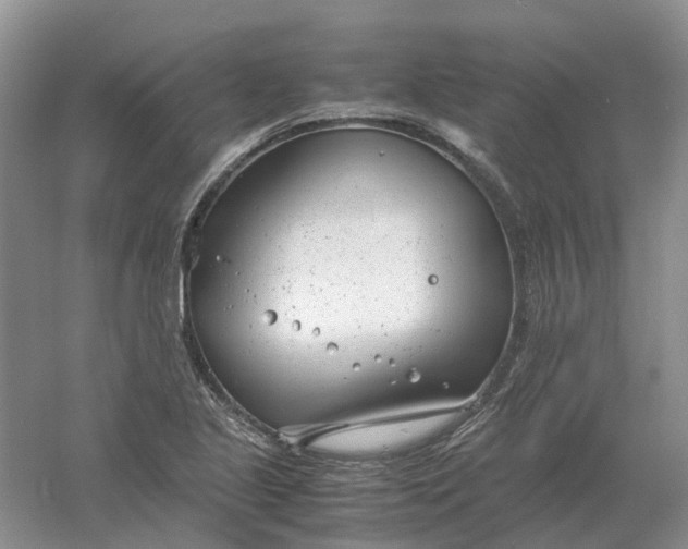 X0000061121221200512022143