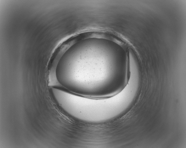 X0000061121222200512022143