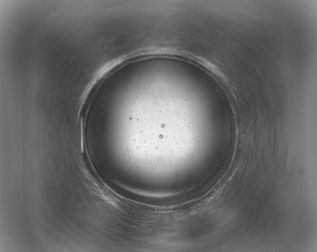 X0000061121223200512022143