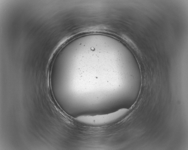 X0000061121224200512022143