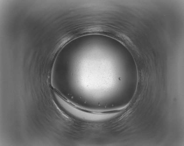 X0000061121225200512022143