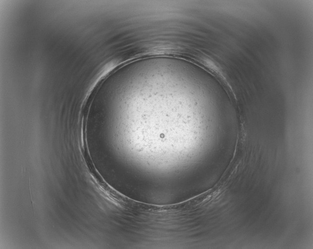 X0000061121227200512022143