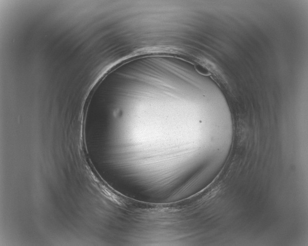 X0000061121228200512022143