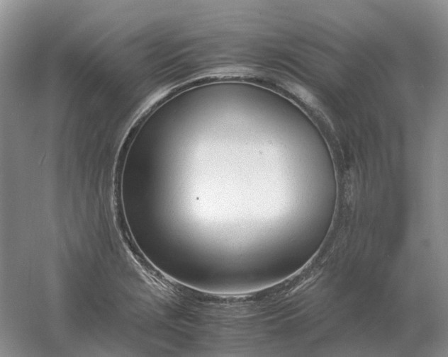 X0000061121229200512022143