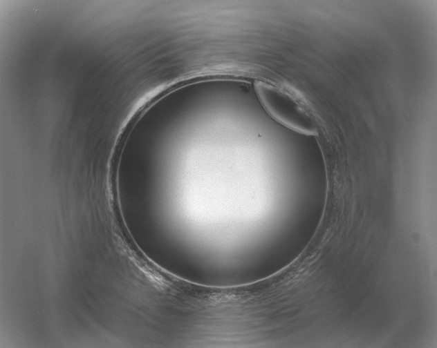 X0000061121230200512022143