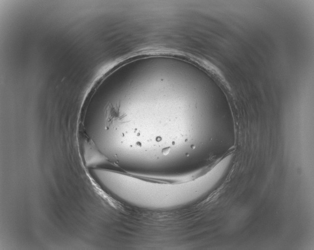 X0000061121231200512022143