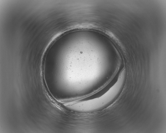 X0000061121232200512022143