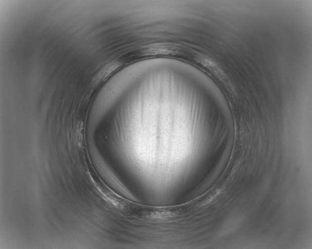 X0000061121233200512022143