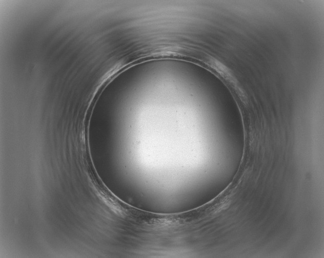 X0000061121234200512022143