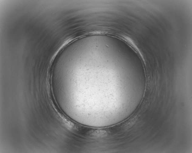 X0000061121235200512022143