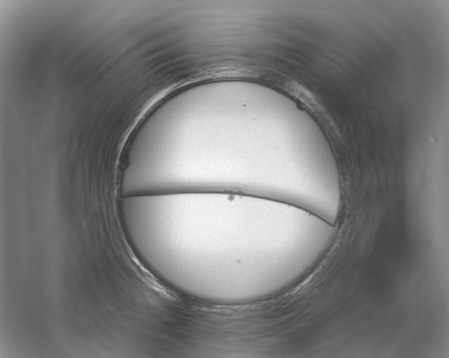 X0000061121236200512022144