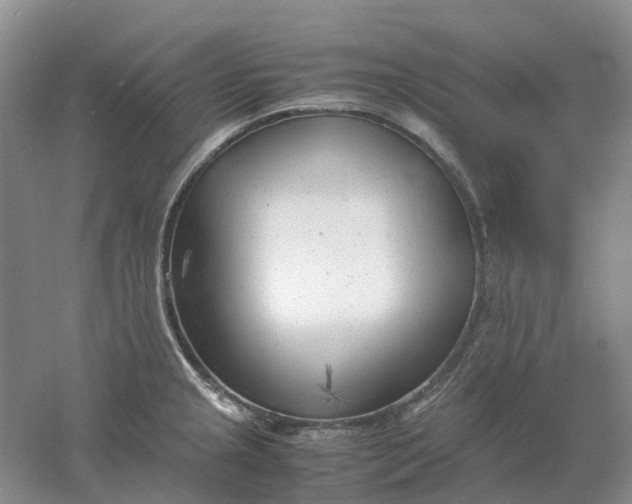 X0000061121237200512022144