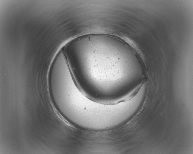 X0000061121238200512022144