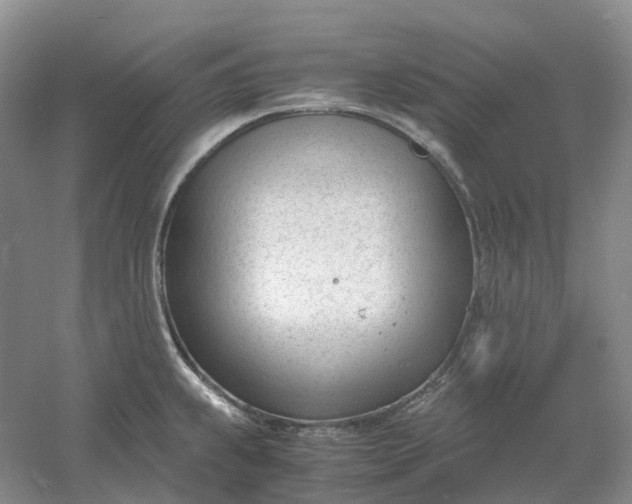 X0000061121239200512022144