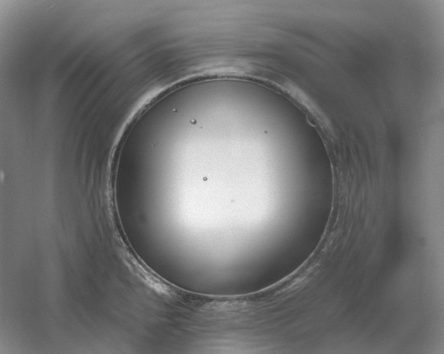 X0000061121240200512022144