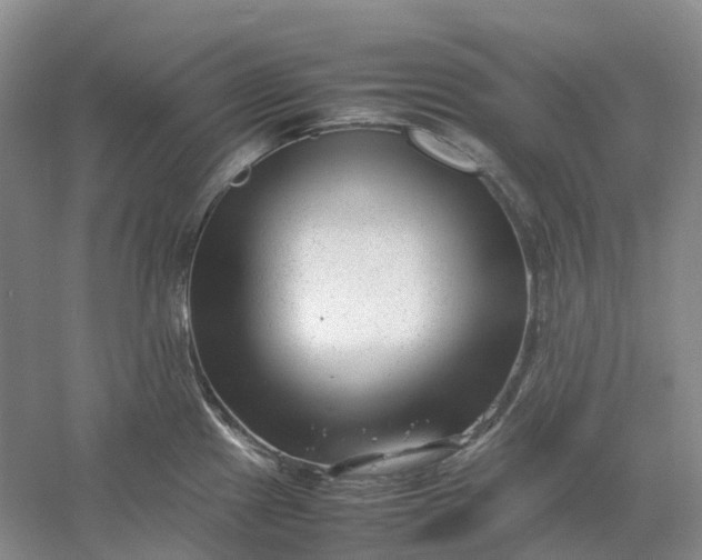 X0000061121241200512022144