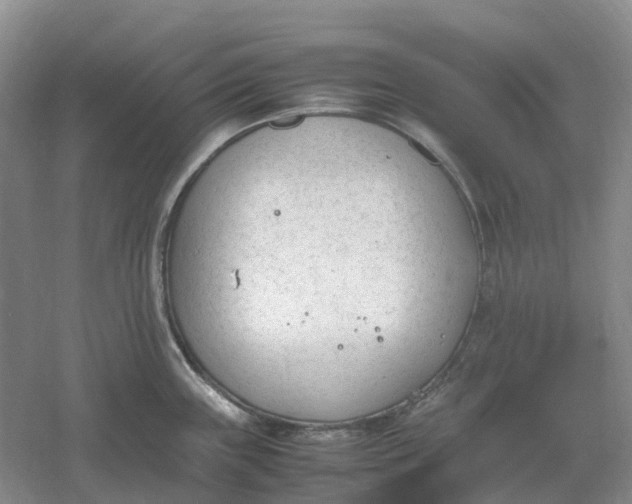 X0000061121243200512022144