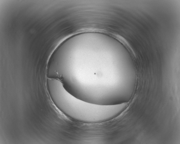 X0000061121244200512022144