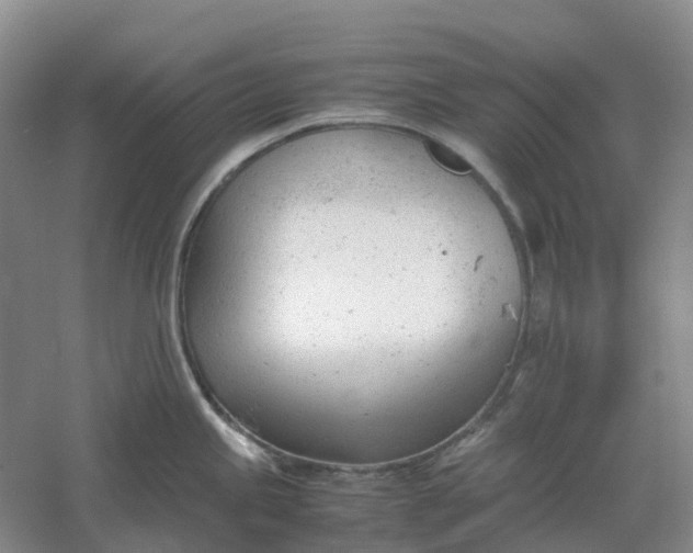 X0000061121245200512022144