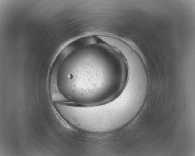 X0000061121246200512022144