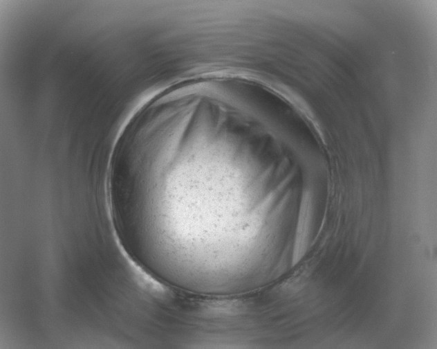 X0000061121247200512022144