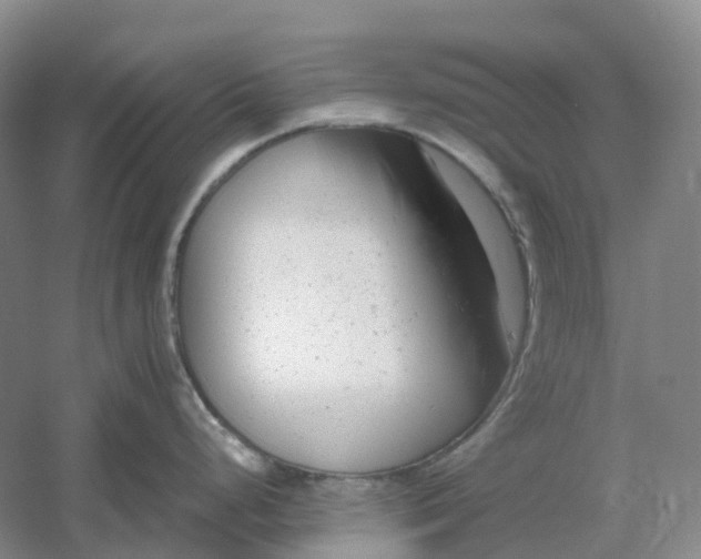 X0000061121248200512022144