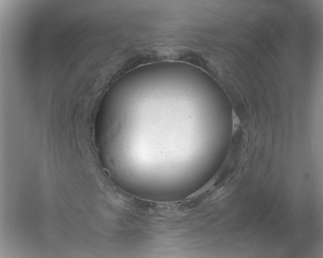 X0000061121249200512022143