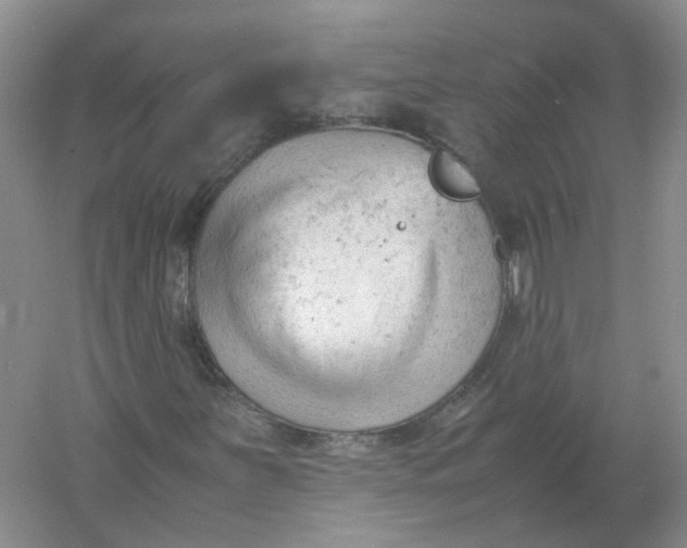 X0000061121251200512022143