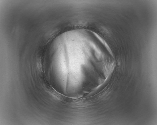 X0000061121252200512022143