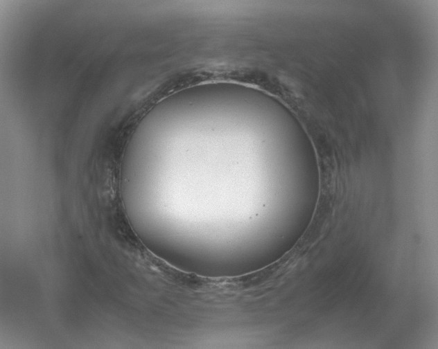 X0000061121253200512022143