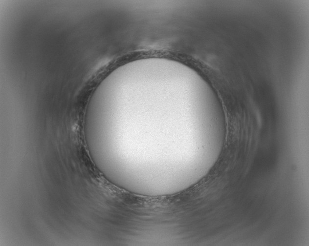 X0000061121254200512022143