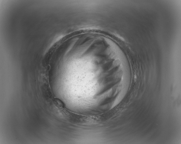 X0000061121255200512022143