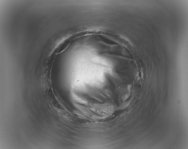 X0000061121256200512022143