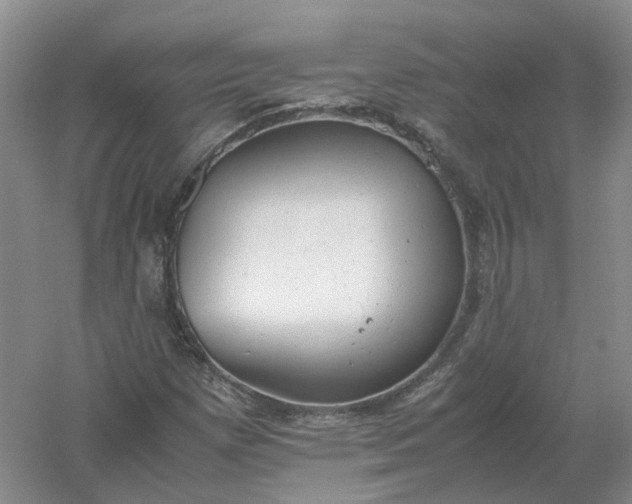 X0000061121257200512022143