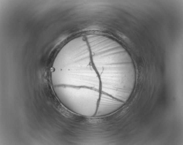 X0000061121258200512022143