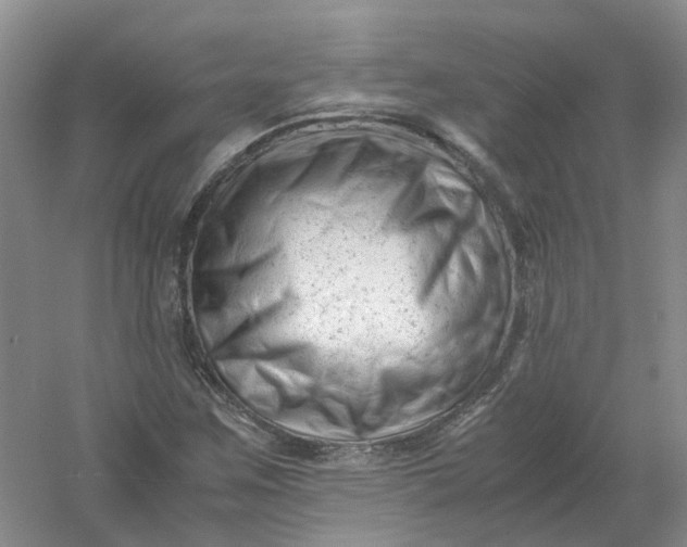 X0000061121259200512022143