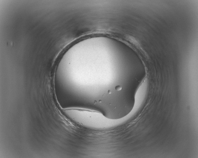 X0000061121260200512022143