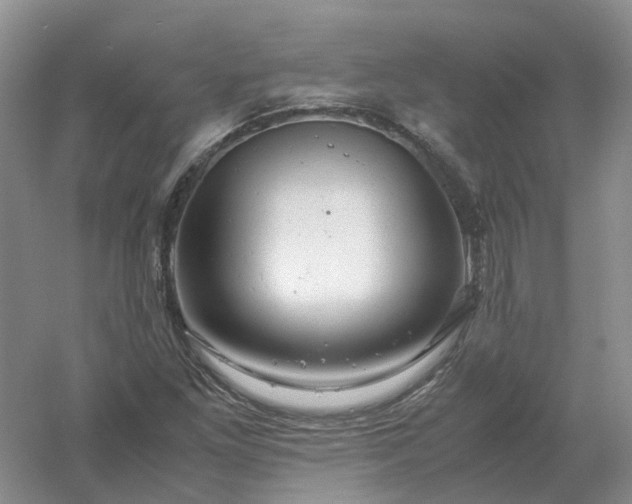 X0000061121261200512022143