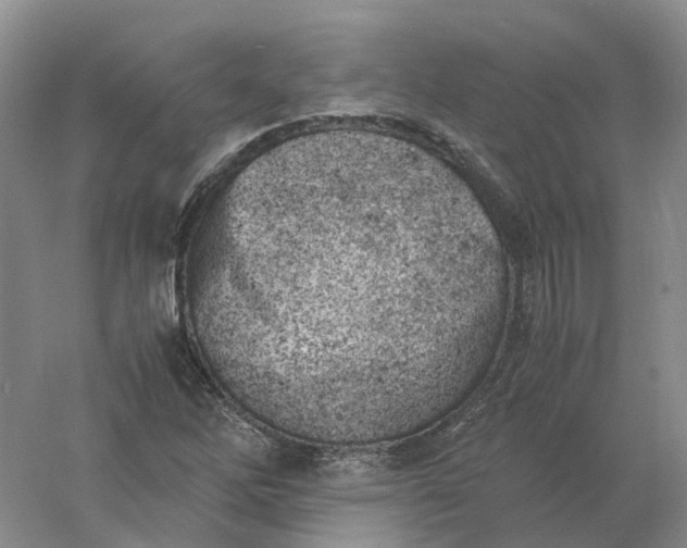 X0000061121262200512022143