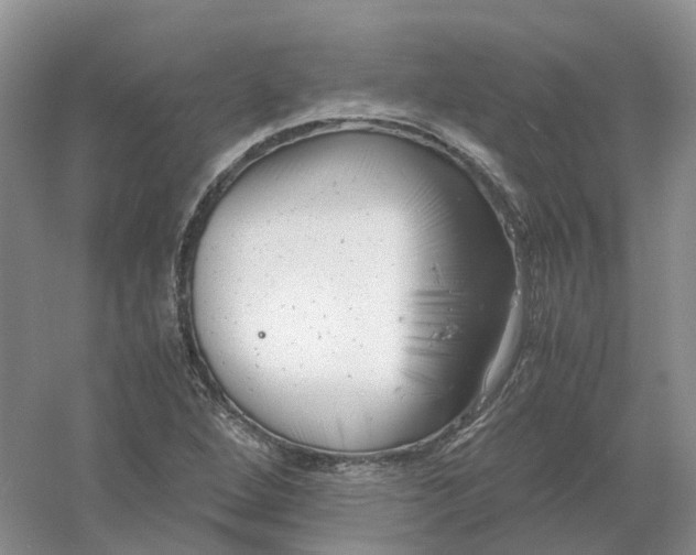 X0000061121264200512022143