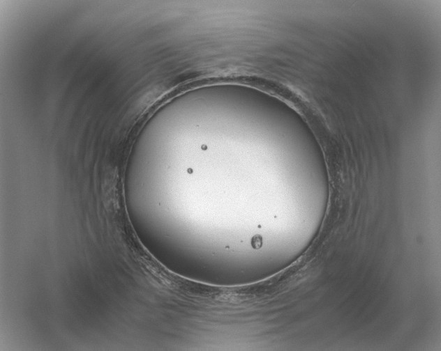 X0000061121265200512022143