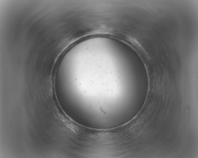 X0000061121268200512022143