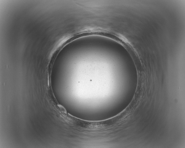 X0000061121269200512022143