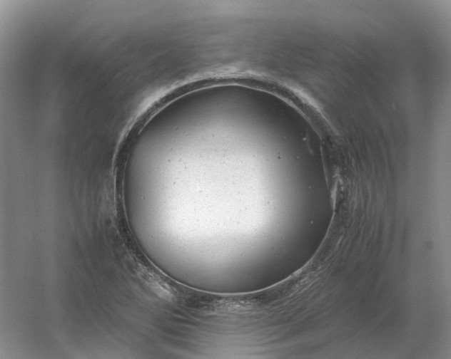 X0000061121270200512022143